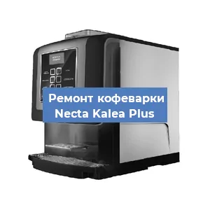 Чистка кофемашины Necta Kalea Plus от кофейных масел в Воронеже